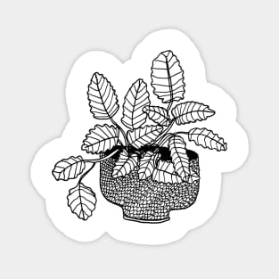 Peppermint Plant Sticker